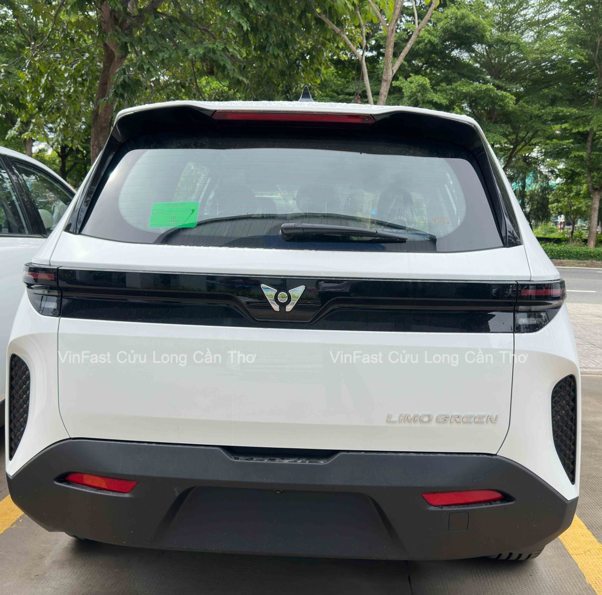 VinFast Cần Thơ Limo Green